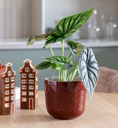 Ginko blomsterpotte rustrød 20 cm Ginko blomsterpotte rustrød 20 cm